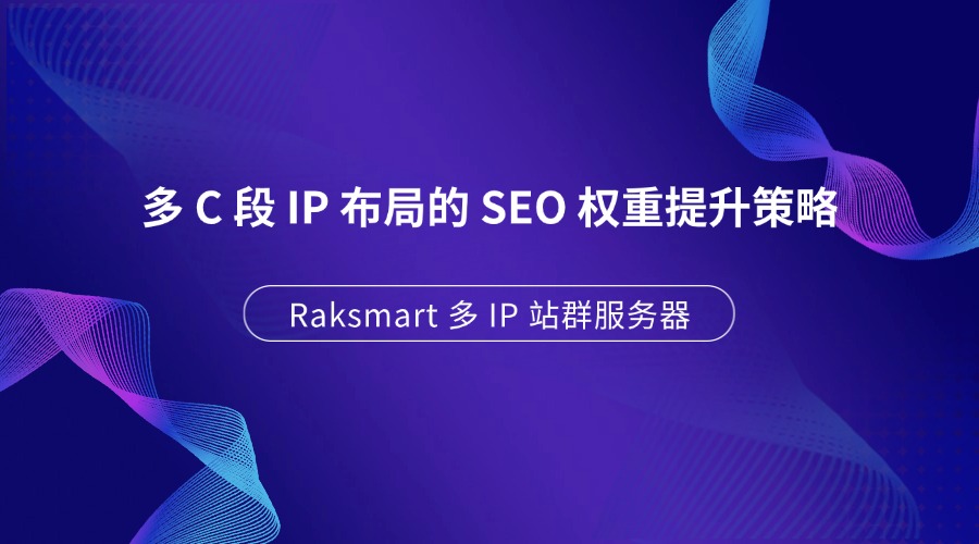 Raksmart 多 IP 站群服务器：多 C 段 IP 布局的 SEO 权重提升策略