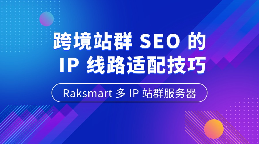 Raksmart 多 IP 站群服务器：跨境站群 SEO 的 IP 线路适配技巧