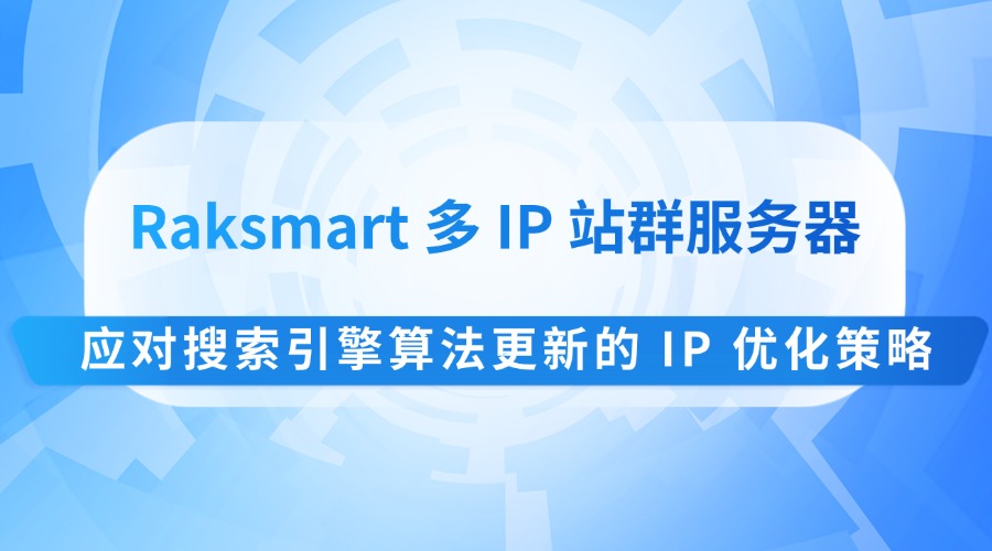 Raksmart 多 IP 站群服务器：应对搜索引擎算法更新的 IP 优化策略