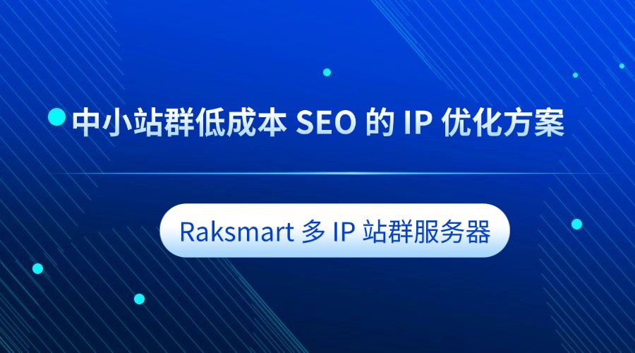 Raksmart 多 IP 站群服务器：中小站群低成本 SEO 的 IP 优化方案