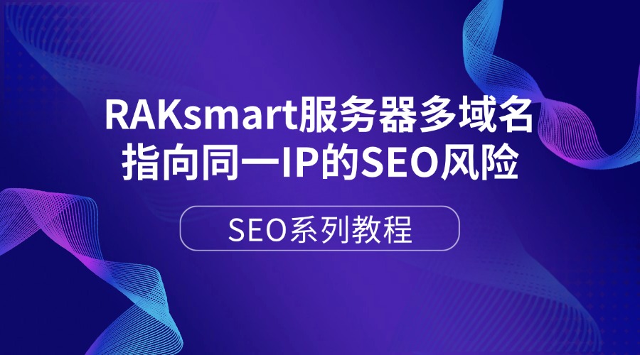 SEO系列教程：RAKsmart服务器多域名指向同一IP的SEO风险