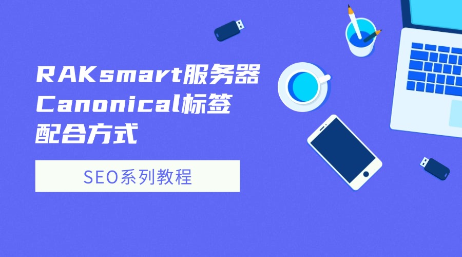 SEO系列教程：RAKsmart服务器Canonical标签配合方式